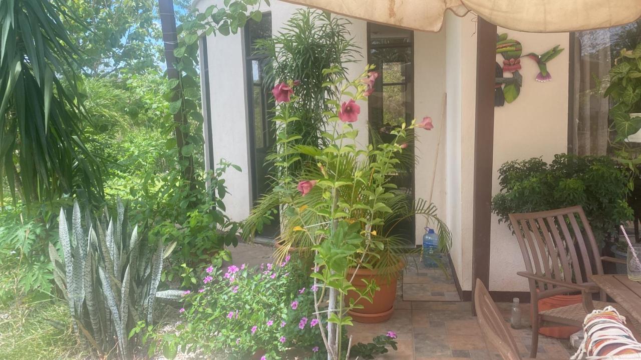Villa Pura Vida Matapalo  Экстерьер фото