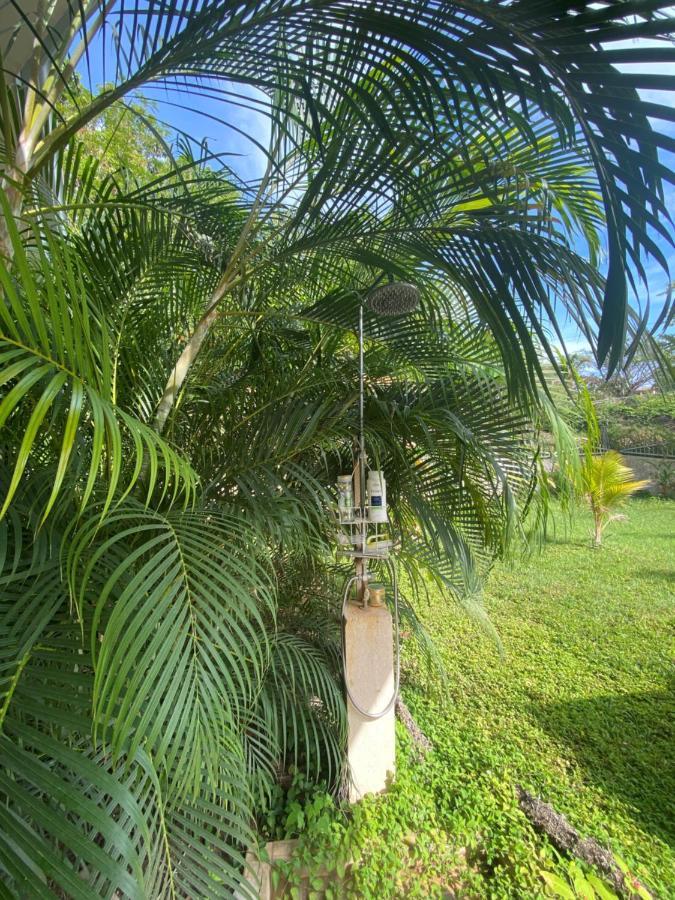 Villa Pura Vida Matapalo  Экстерьер фото